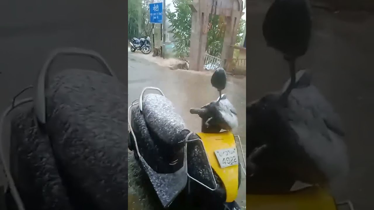 देवभूमि उत्तराखंड के चमोली के पर्वतीय इलाकों में भारी बर्फबारी #viral #new #snowfall 
