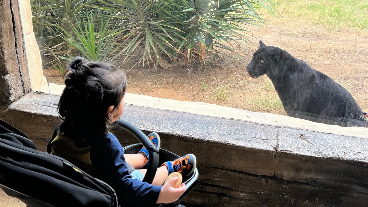 Emirates Park Zoo | Abu Dhabi