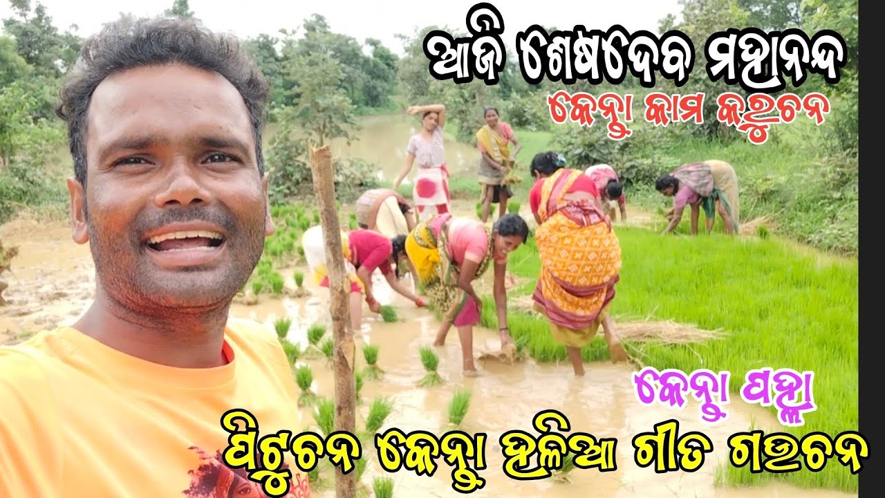 July 5, 2025 ଶେଷଦେବ କୃଷ୍ଣ ଆଜି ପଲ୍ହା ରୁଚନ seshadev krushna official