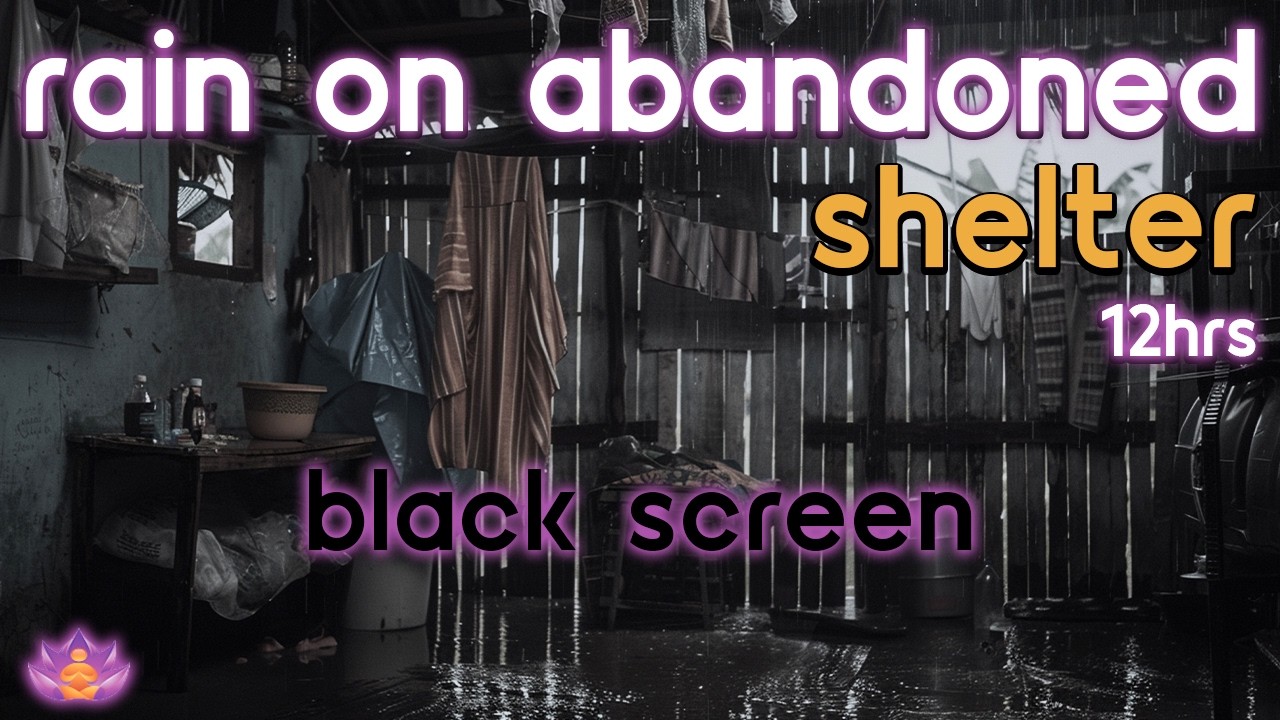 [Black Screen] Safe Inside Old Shelter | Rain on Abandoned Shelter - No Thunder | Sleep Rain Sounds