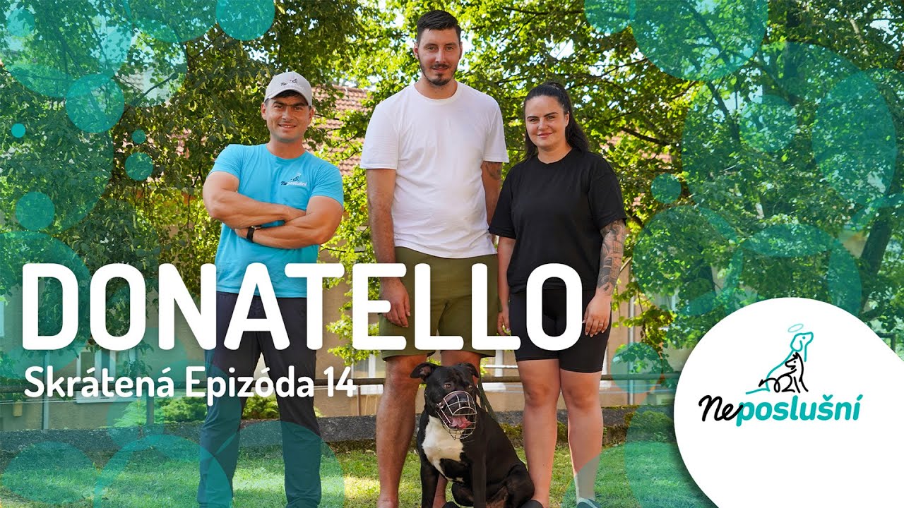 EXTRÉMNE Agresívny Pes! DONATELLO (SKRÁTENÉ ČASTI) NEPOSLUŠNÍ