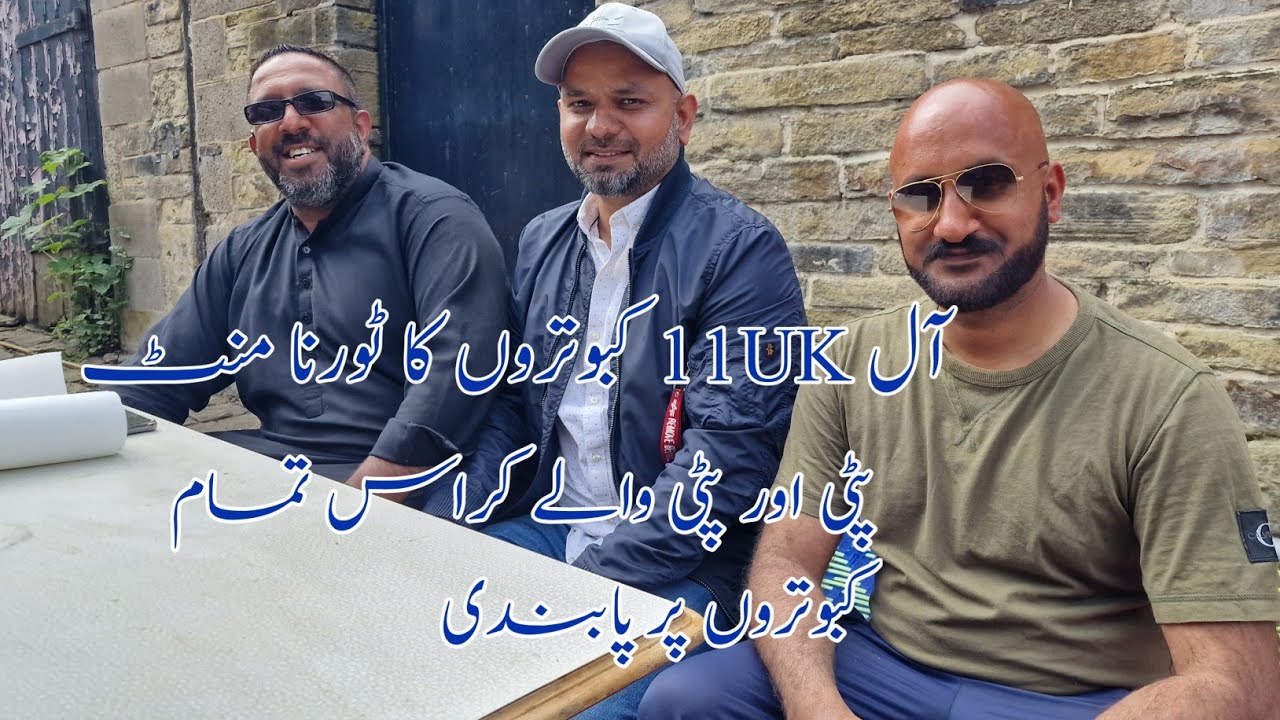 All UK  Championship 11 pigeons tournament  Chatt Ch. Raees Bradford
