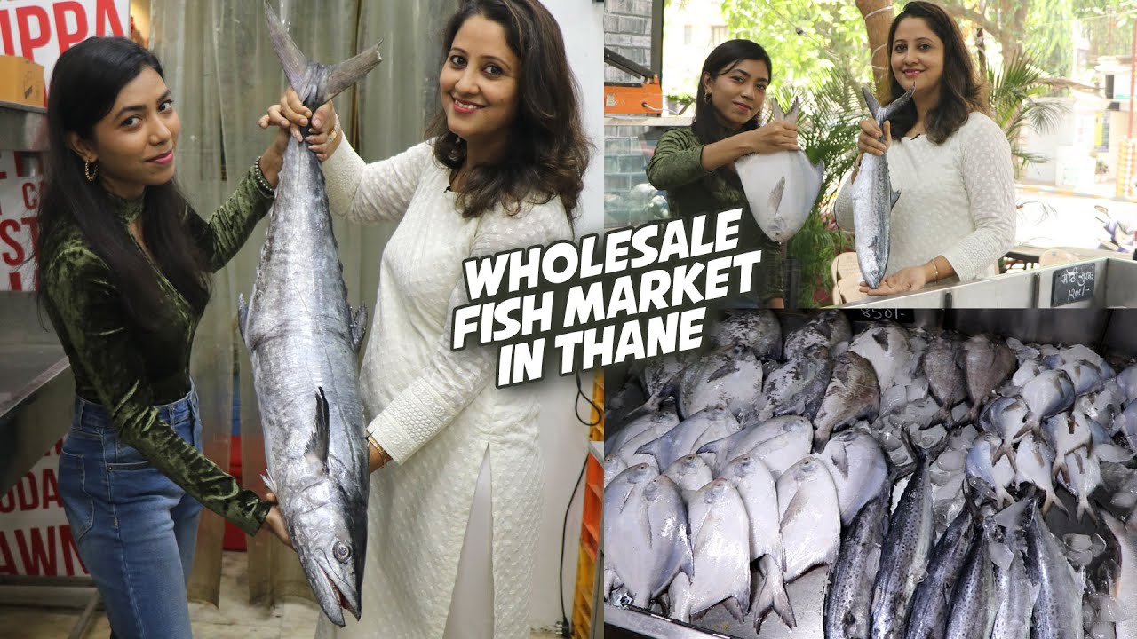 इतने सस्ते Fish मैंने आजतक कई नहीं देखें Wholesale Fish Market In Thane | Fishtail Daily Fresh Fish