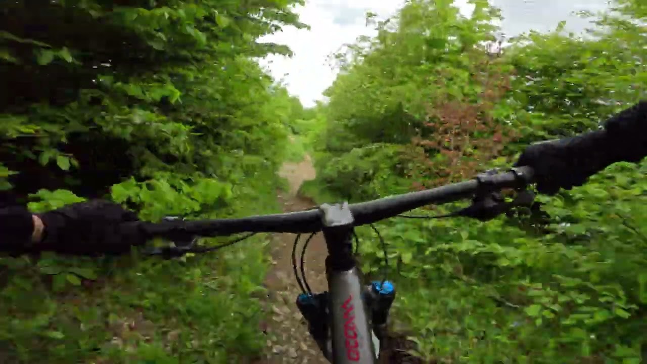 Orbea Occam / MTB Sjeme