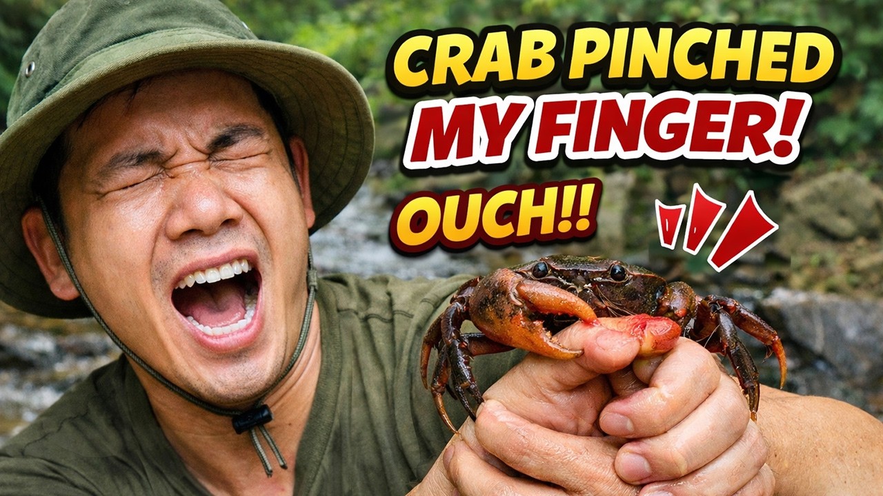 catching Crabs in the Dark - Wild Food Adventur | Sầm rural life  #catchingcrabs #rurallife