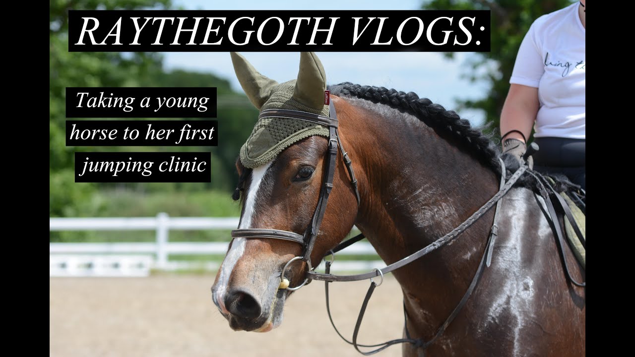 RAYTHEGOTH VLOGS: Taking a young horse to her first jumping clinic