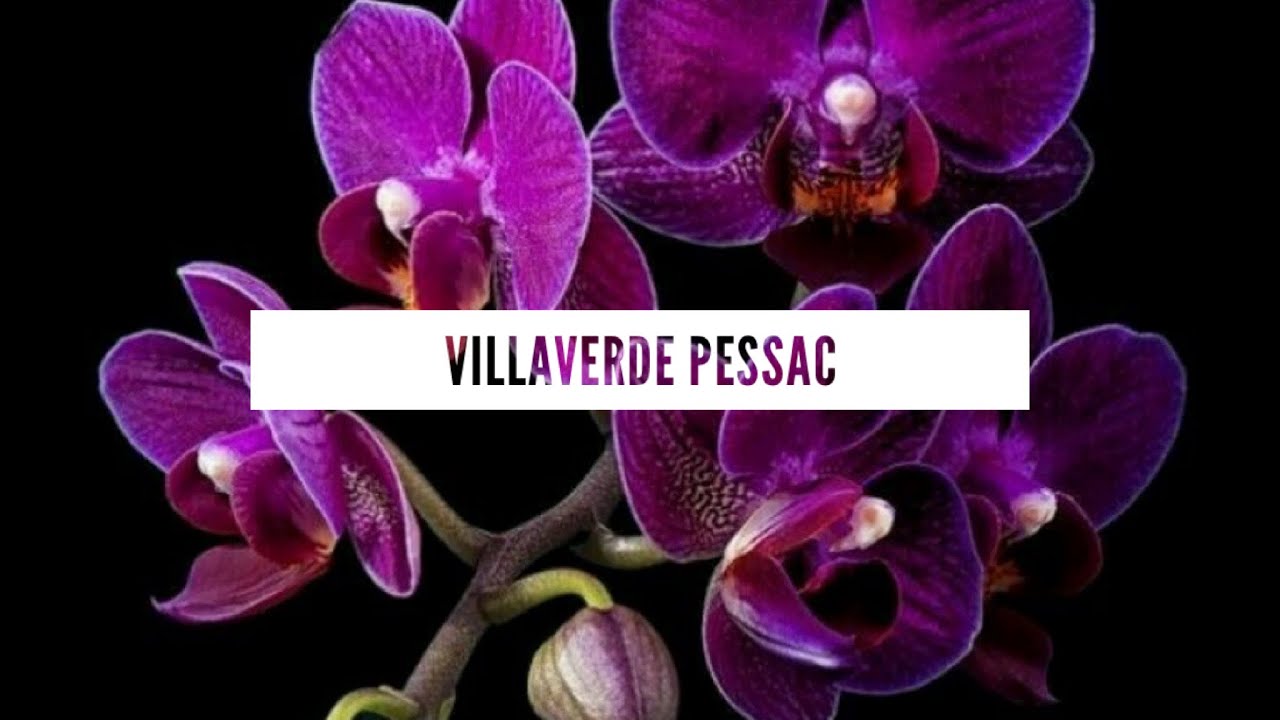 VILLAVERDE PESSAC 12/02/23