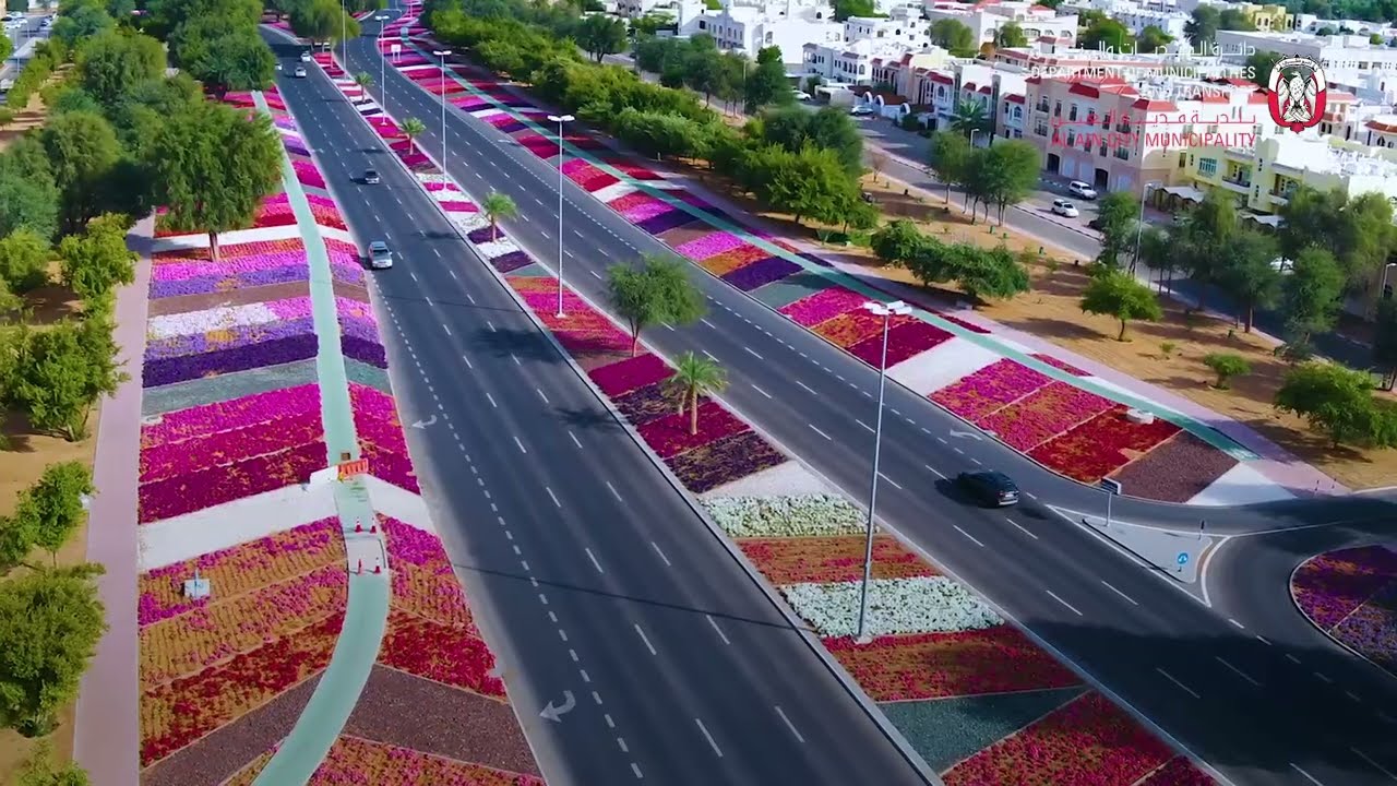 بلدية مدينة العين تزين شارع خالد بن الوليد