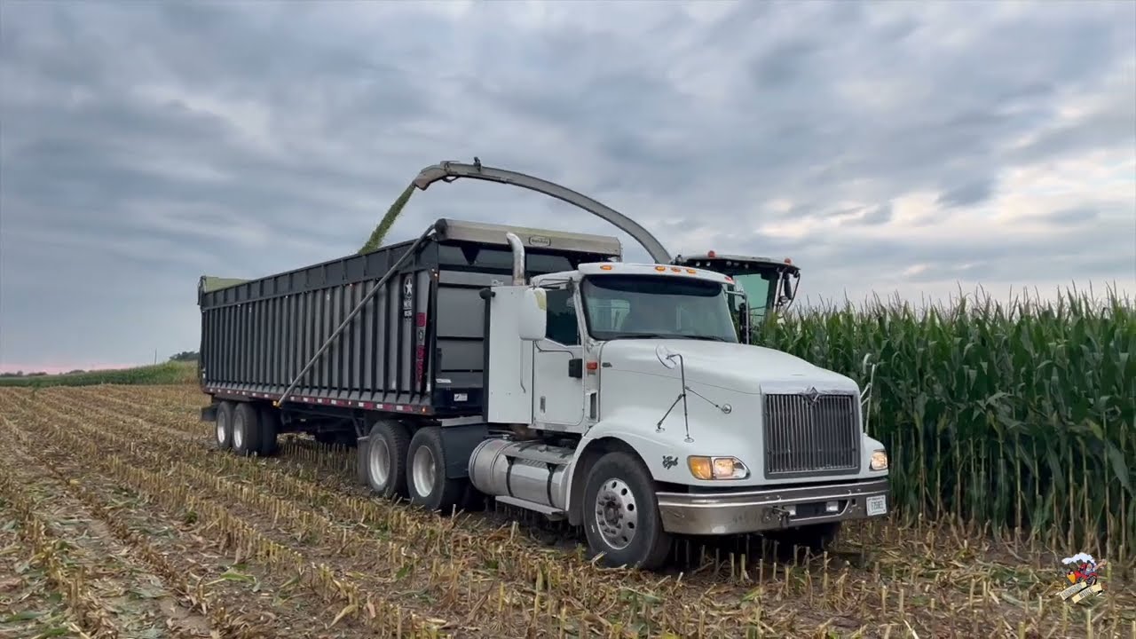Union Go Dairy Corn Silage Harvest 2022