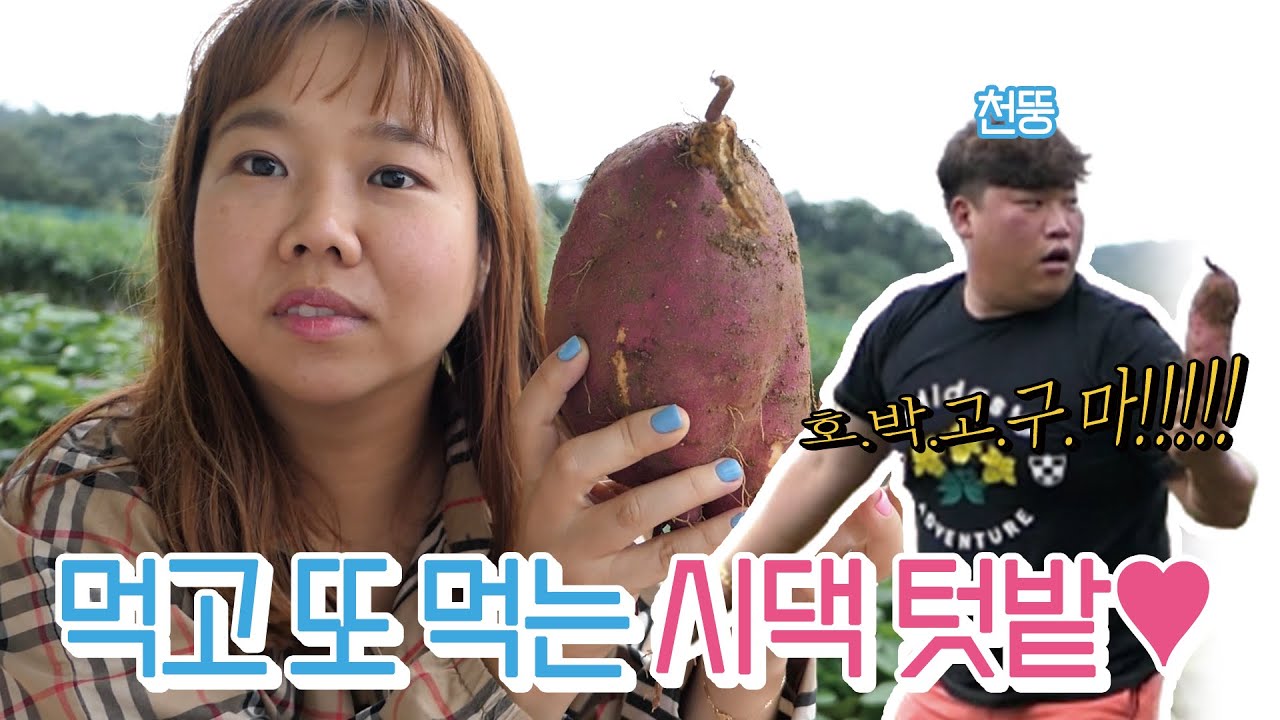 스폐인 남부에서 고구마캐고 캐나다에서 요리교실