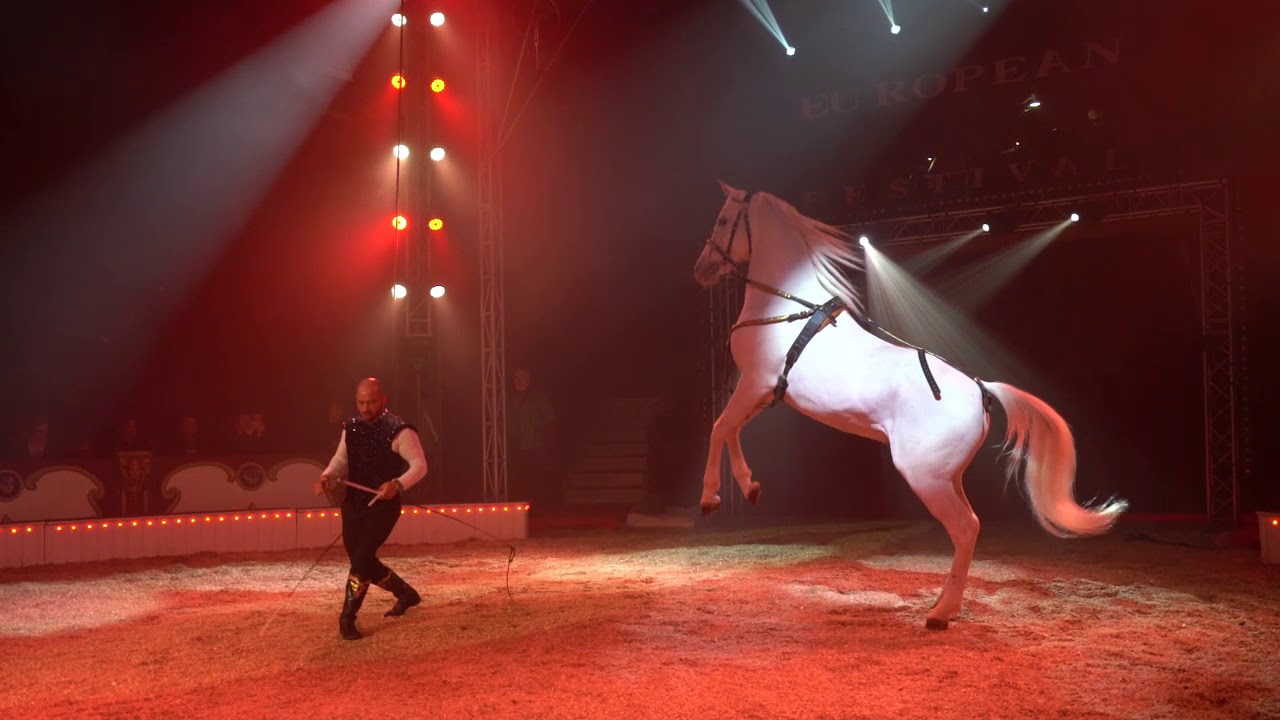 LE SPECTACLE COMPLET ...EUROPEAN CIRCUS de STEFAN AGNESSEN 4 janvier 2020