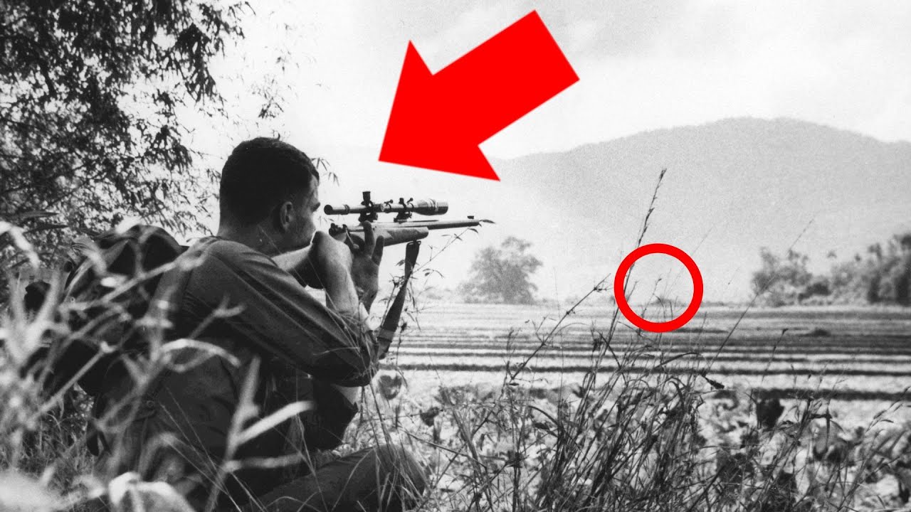 The Deadliest Marine Sniper No One Ever Suspected
