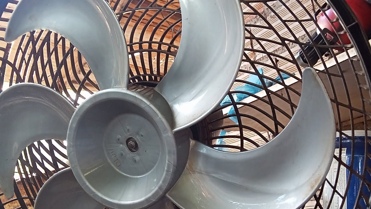 Gordão limpando ventilador. 14 2 26 