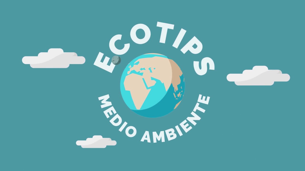 D&iacute;a Mundial del Medio Ambiente