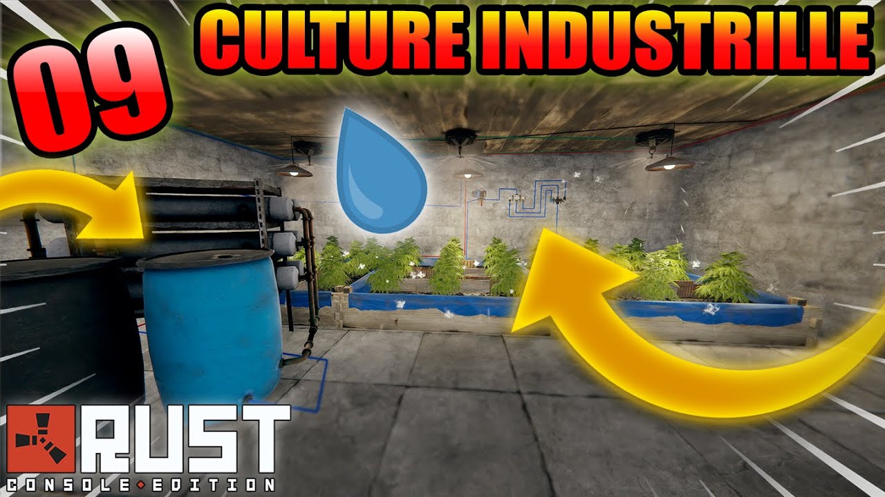 PLANTATION INDUSTRIELLE SYSTÈME COMPLET (irrigation) | TUTO ELEC #09 | RUST