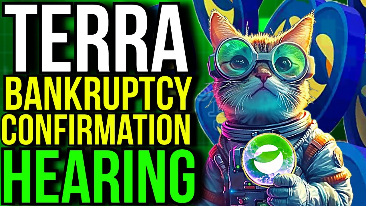TERRA FORM LABS BANKRUPTCY PLAN CONFIRMATION FULL HEARING