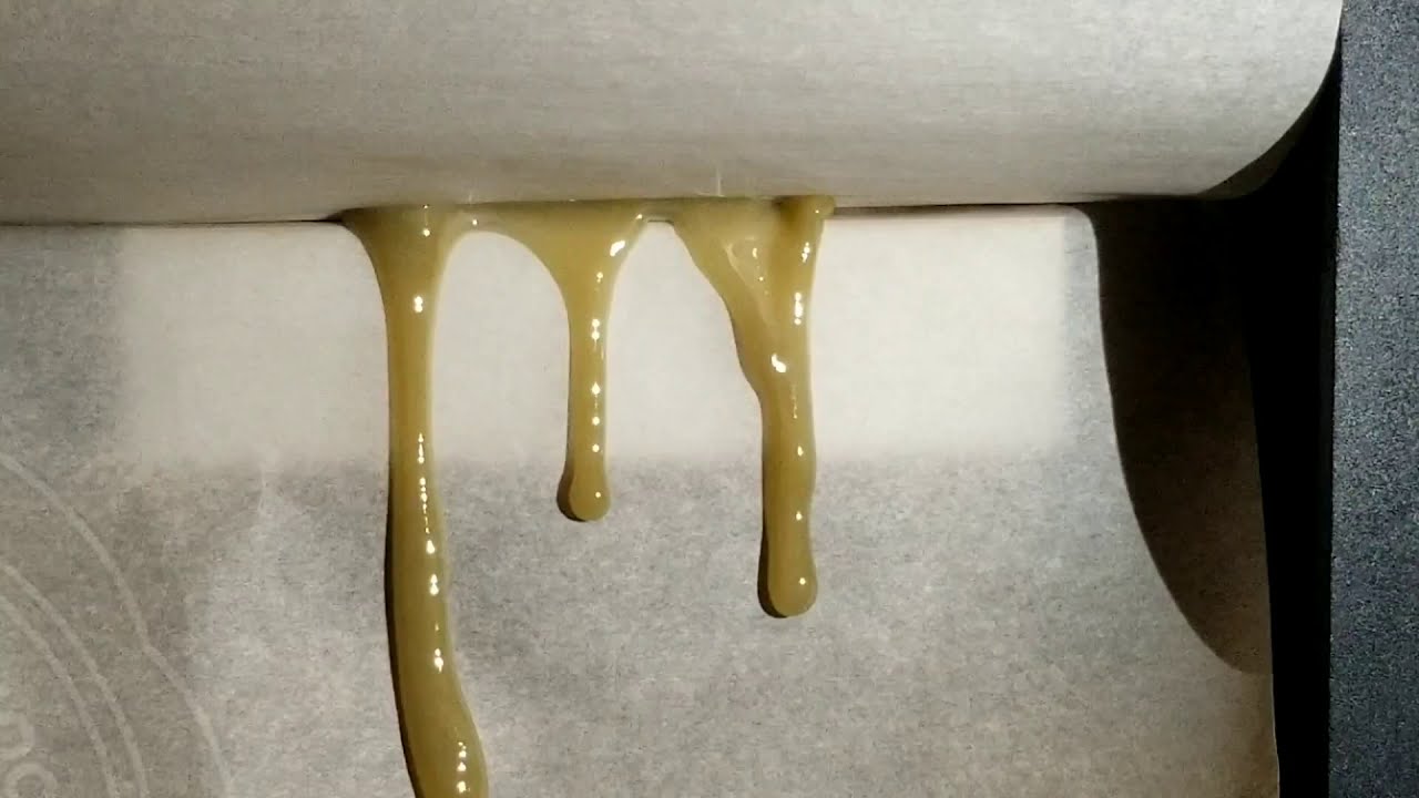 Pressing 6 grams Citrus Soda 🍊🥤dry sift hash into 3.4 grams of blonde wax!