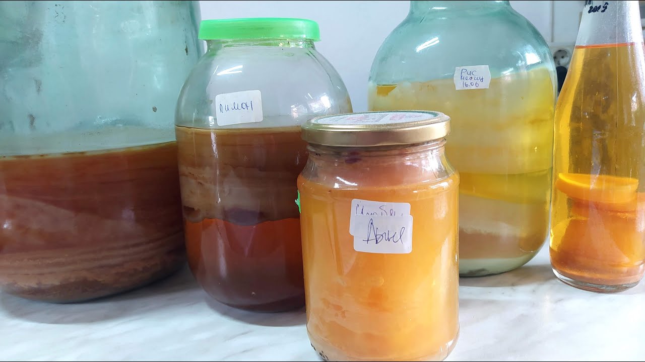Уксусные матки 