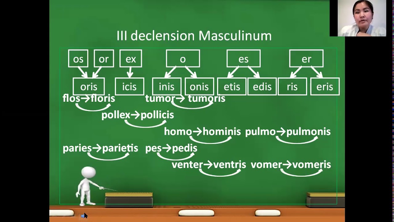 III declension nouns part 1