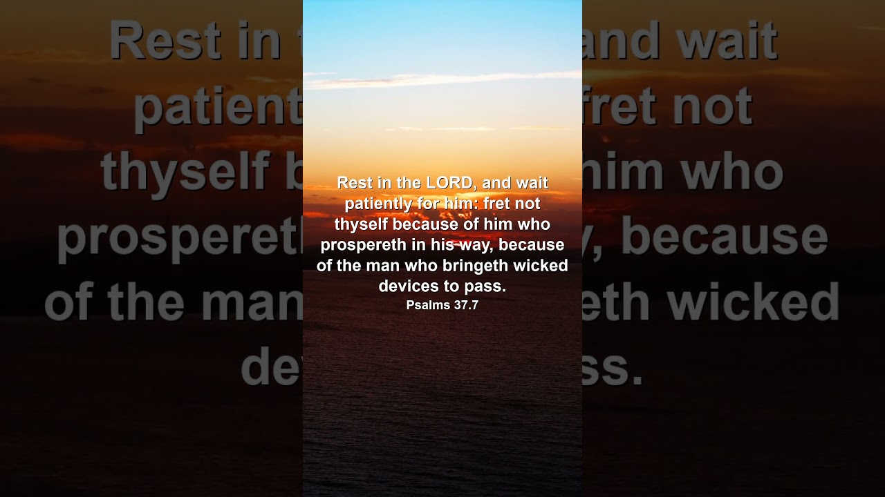 5 Psalms to Focus Your Heart on God