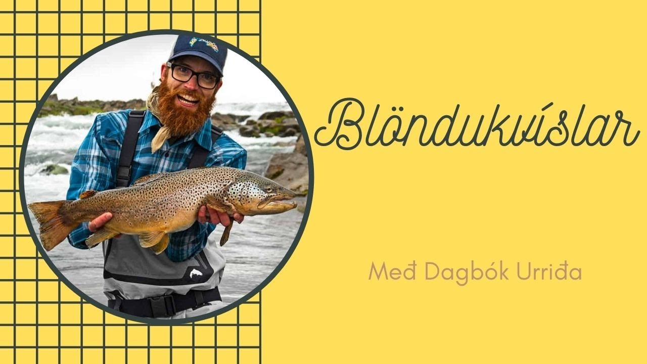 Veiðifélagar - Blöndukvíslar