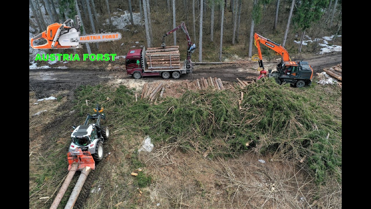 Holzernte 2021 Drohnen Action