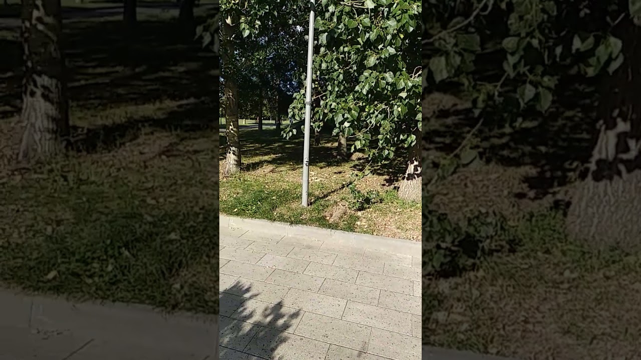 VID 20180808 172144 Лето в парке