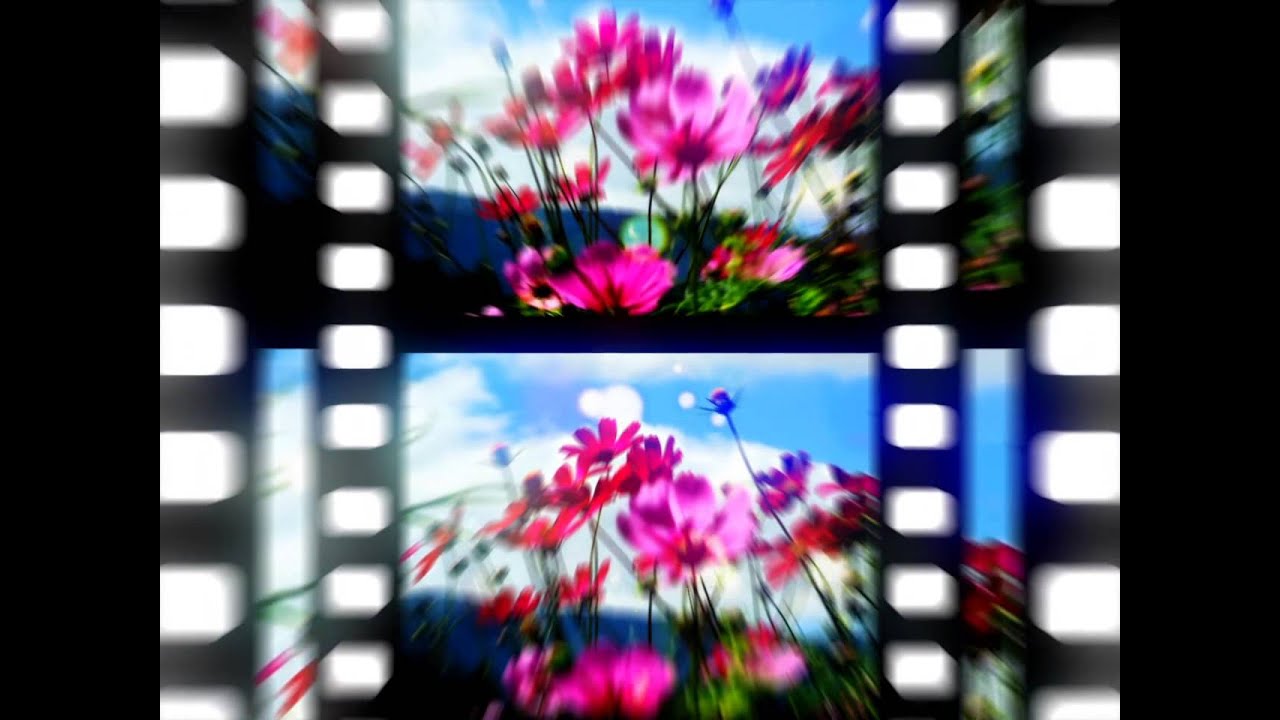 【Wire puller3】Blooming【BGA】