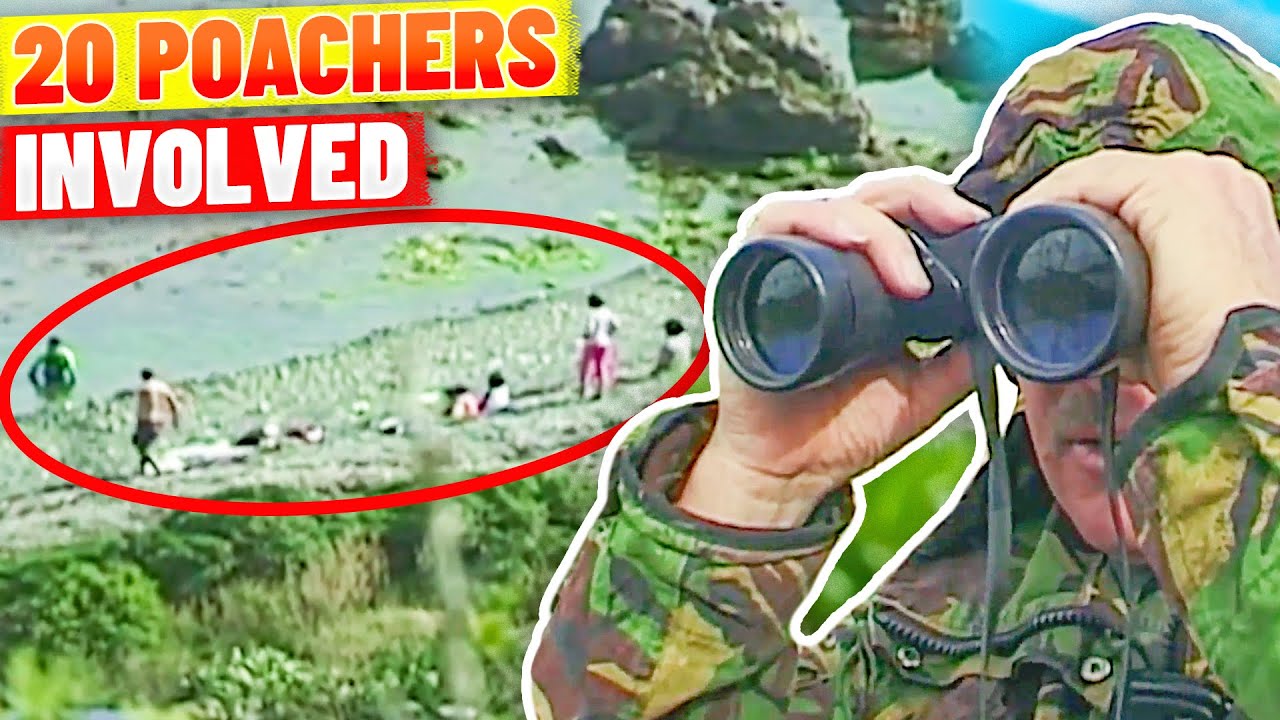 $15,000 Illegal Fishing Haul - 20 Poachers Caught!
