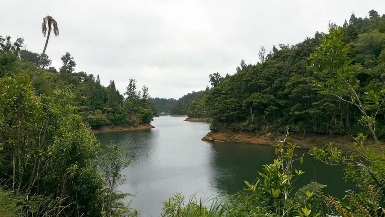 Walk: Upper Nihotupu Dam, Waiatarua (Waitakere Ranges).