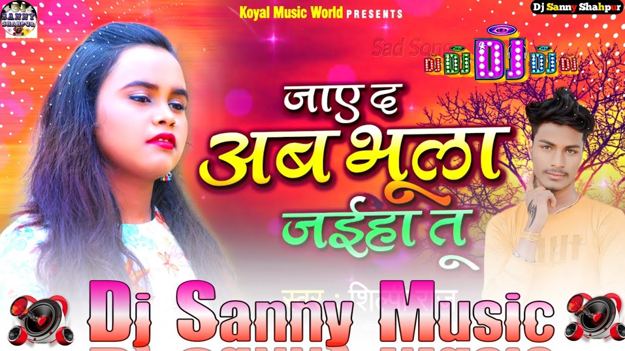 zayed ab bhula jaiha tu shilpi raj bhojpuri dj remix song | #shilpi raj new song | dj sanny music