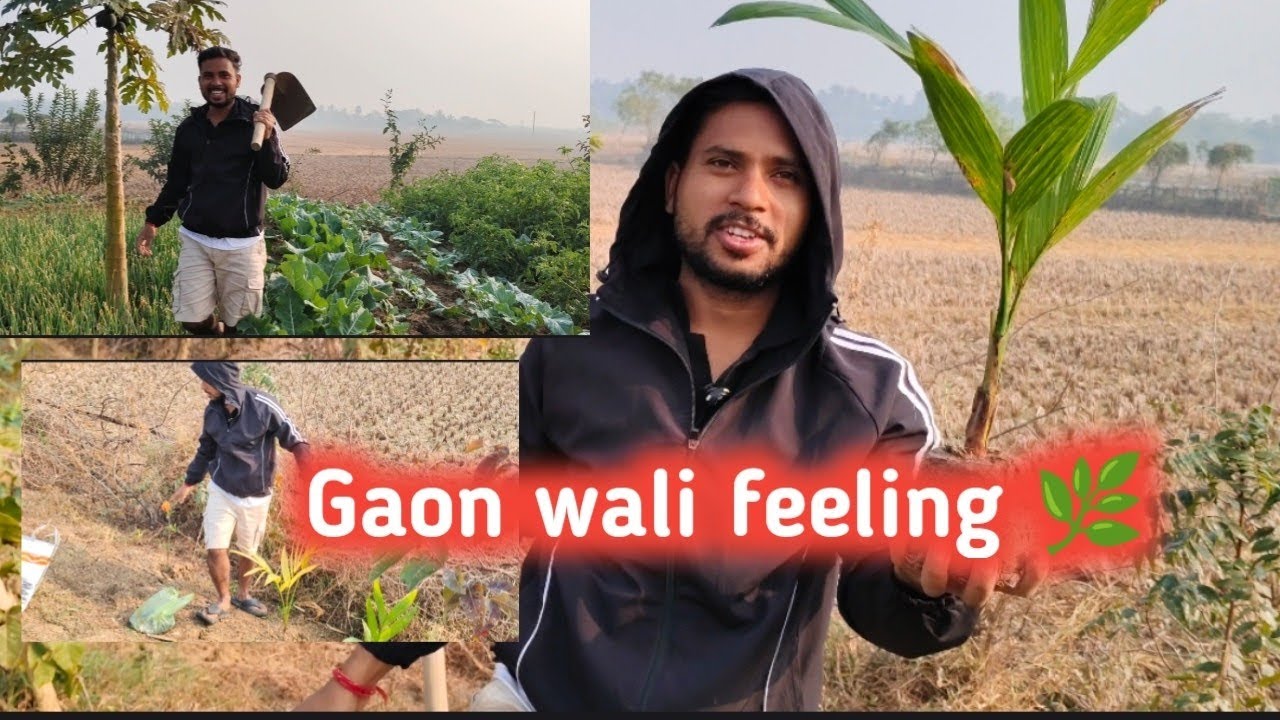 Simple life, gaon wali vibe 🌾Desi Life