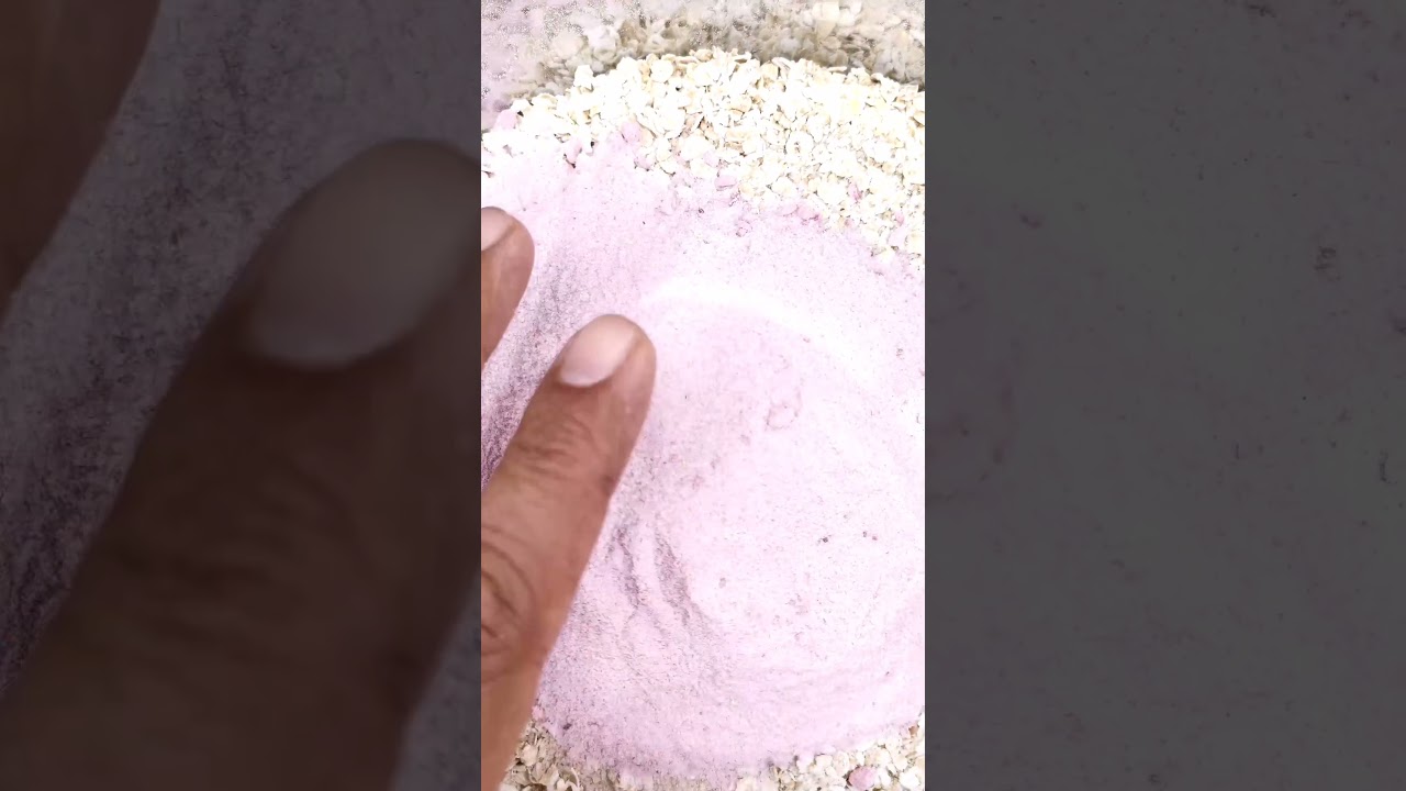 Grundfutter Rezept f&uuml;r den schnellen Fisch #angeln