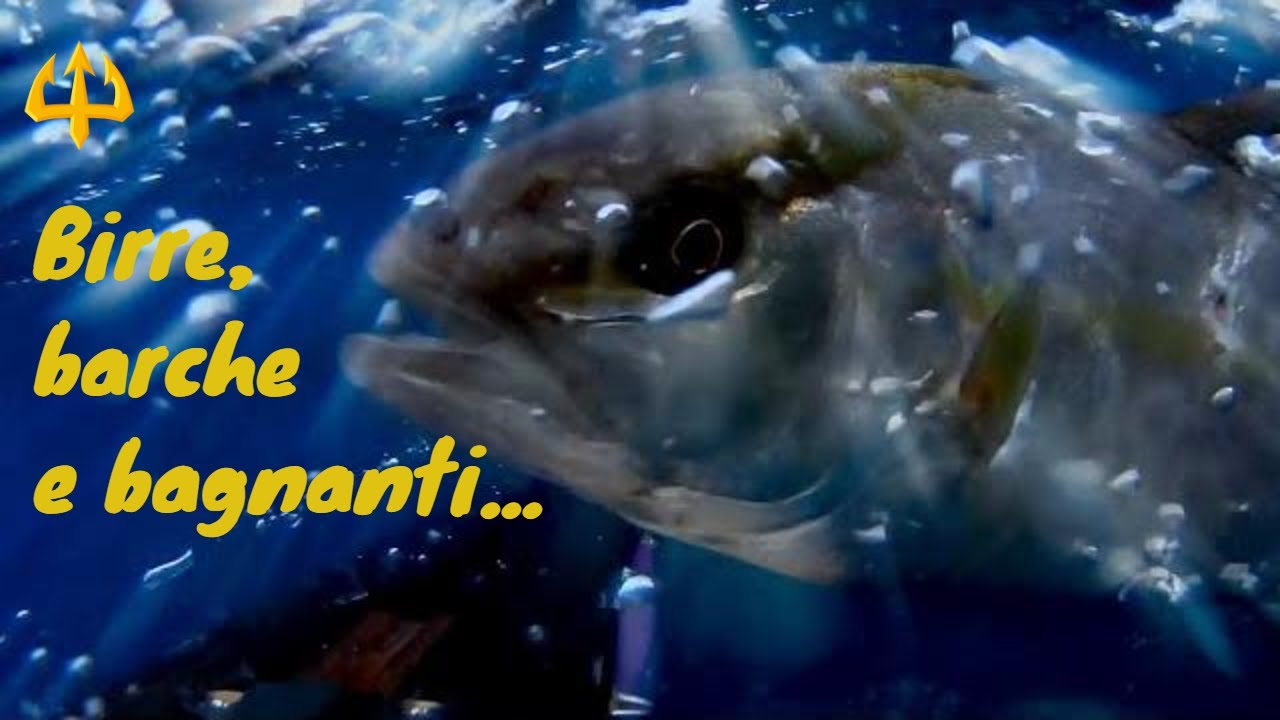 Pesca sub   :   🔱Birre, barche e bagnanti. (Spearfishing Sardegna)
