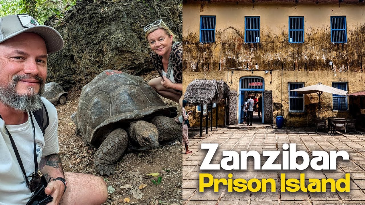 Zanzibar Prison Island. GIANT Tortoises!