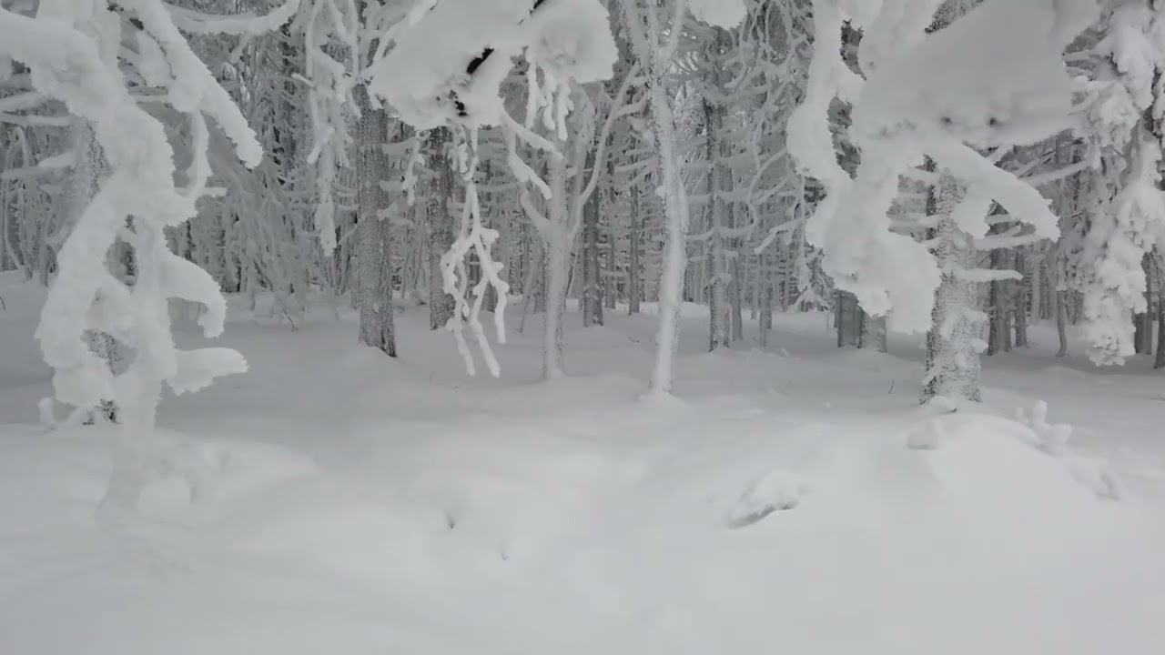 Winter Wonderland #relaxing #winter #calm #calmdownandrelax #relaxingvideo #relaxation