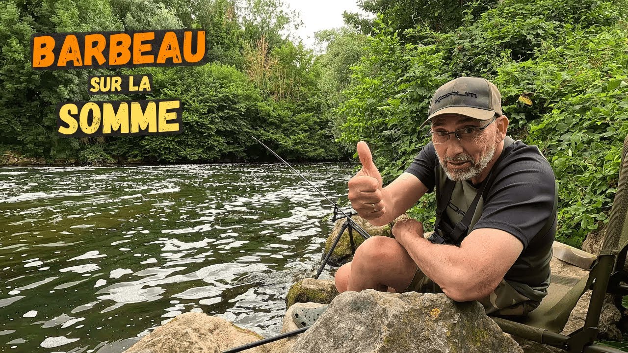 Le Barbeau se déchaîne crescendo au cours d'une session de folie !