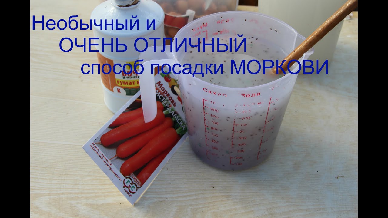 Хитрый способ для УРОЖАЙНОЙ МОРКОВИ.