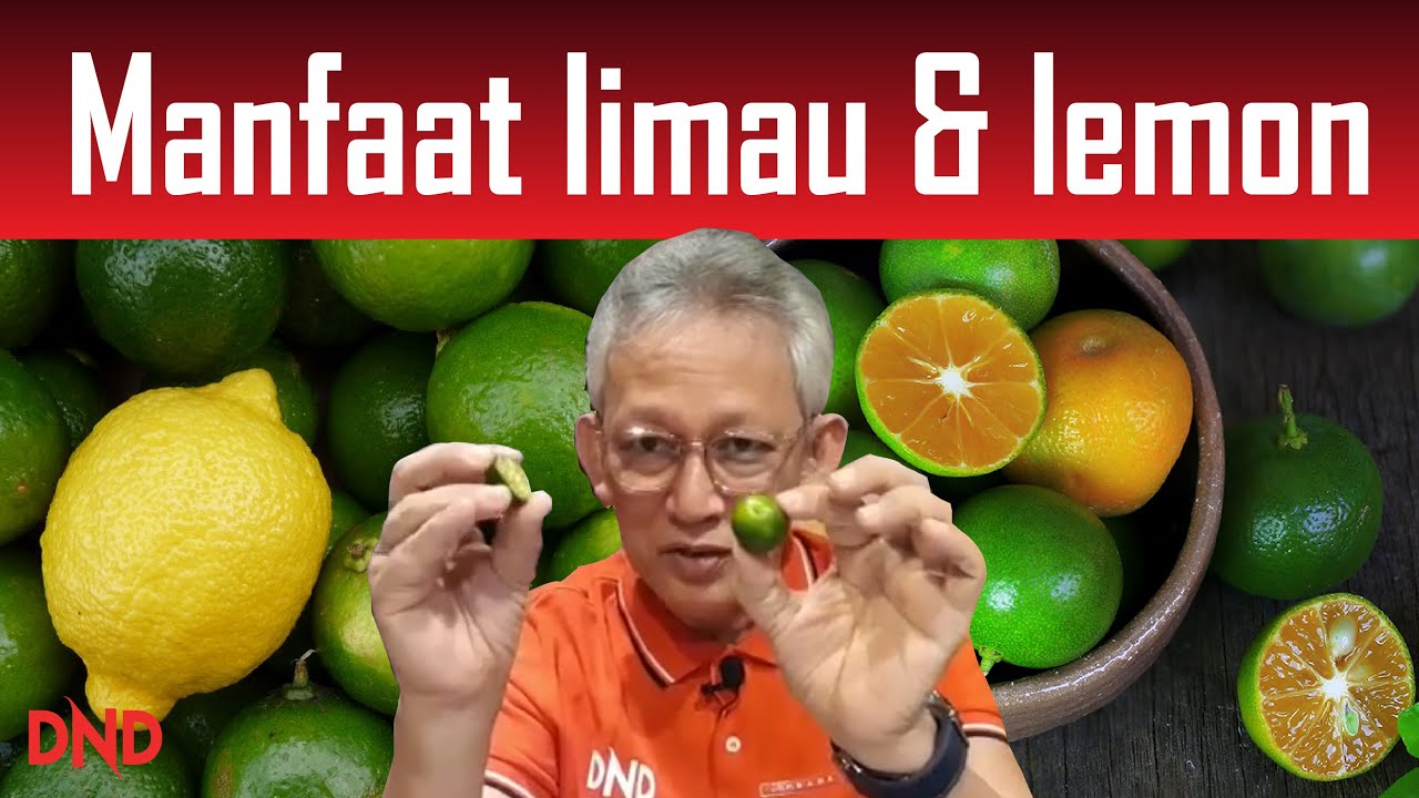 37 MANFAAT LIMAU NIPIS, KASTURI & LEMON!