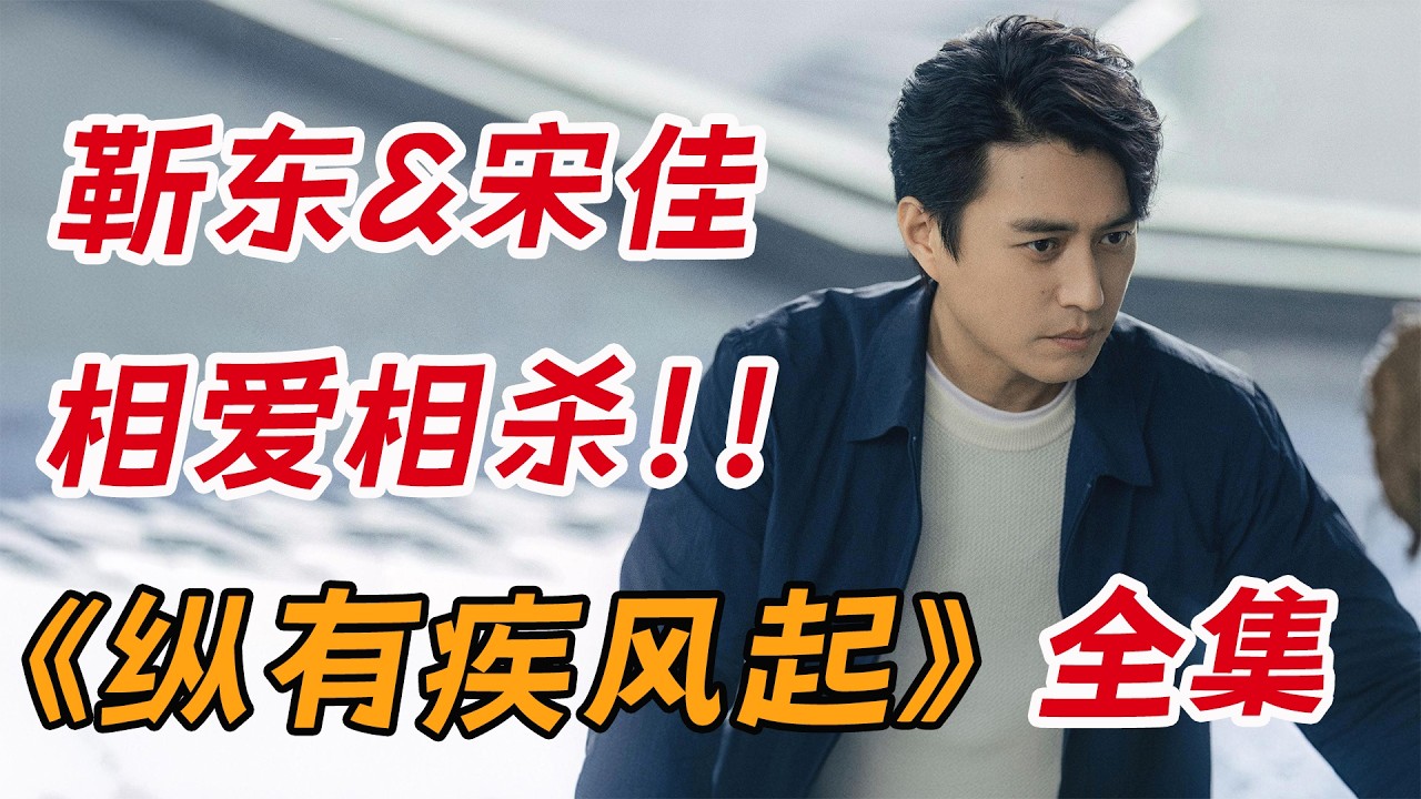 靳东&宋佳相爱相杀！一口气看完都市创业剧《纵有疾风起》全集