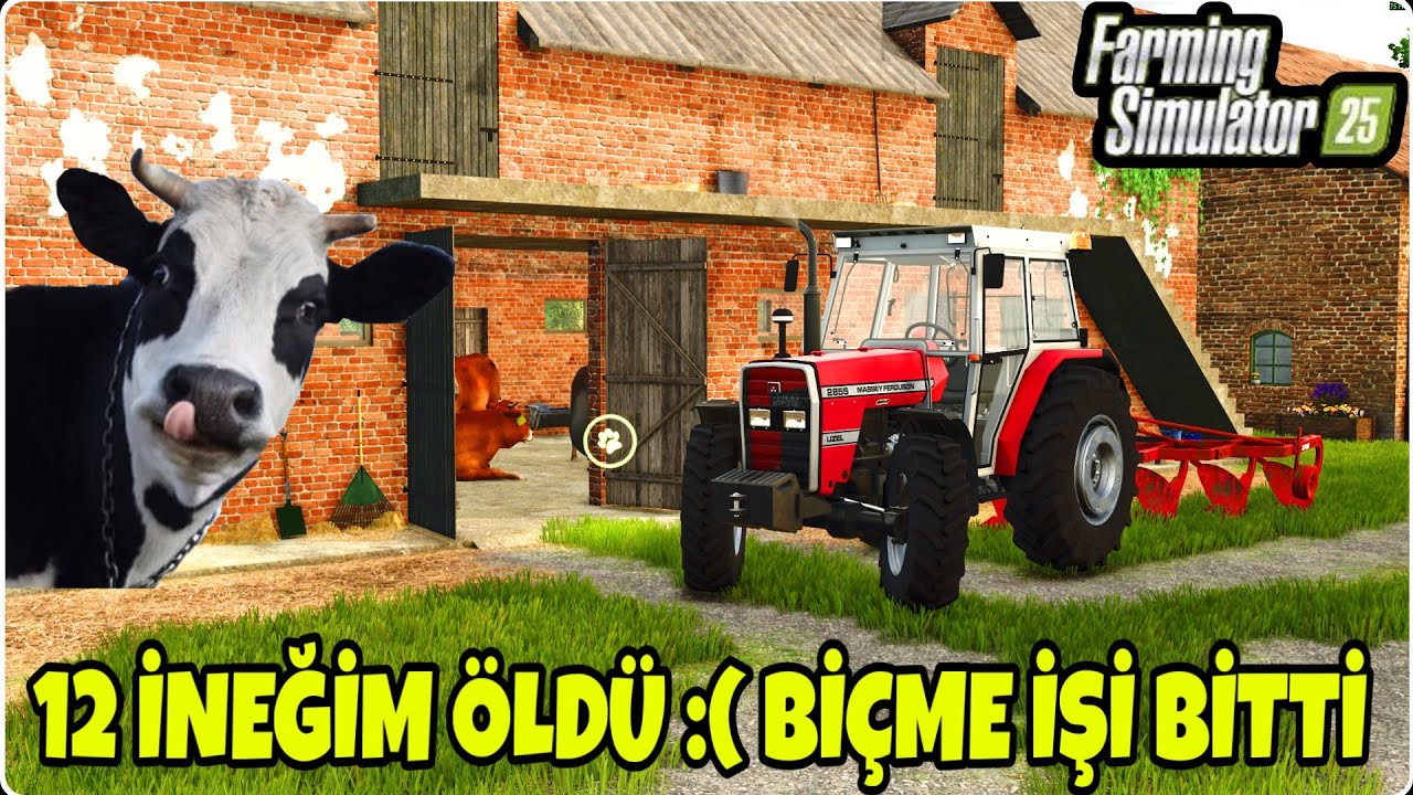 12 TANE İNEĞİM ÖLDÜ :( / BALYA VE ÇİFT İŞİ YAPTIM / B2