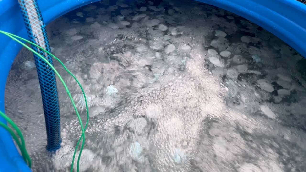世界初！！手作り最強流動性ろ過装置の完成！！