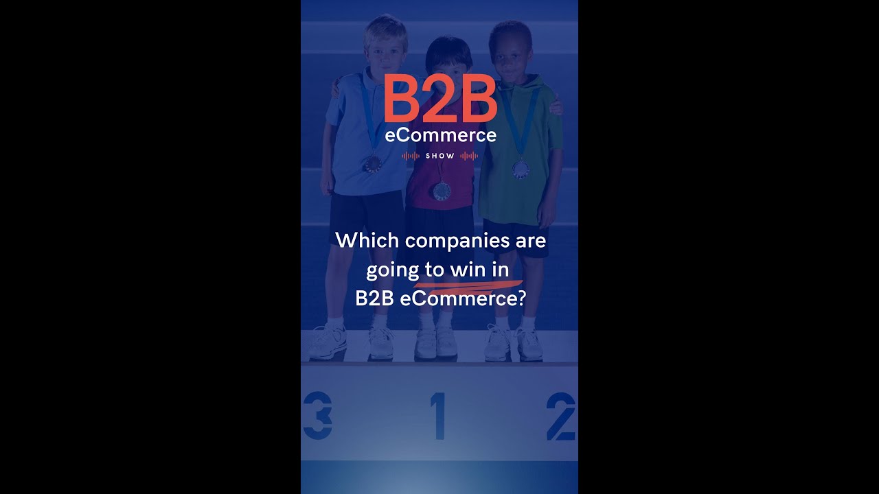 The B2B Companies Poised to Win in Digital