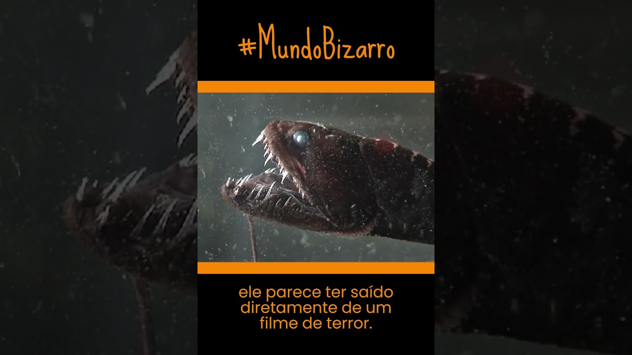 O segredo obscuro do peixe-dragão-negro: o que ninguém nunca contou! 