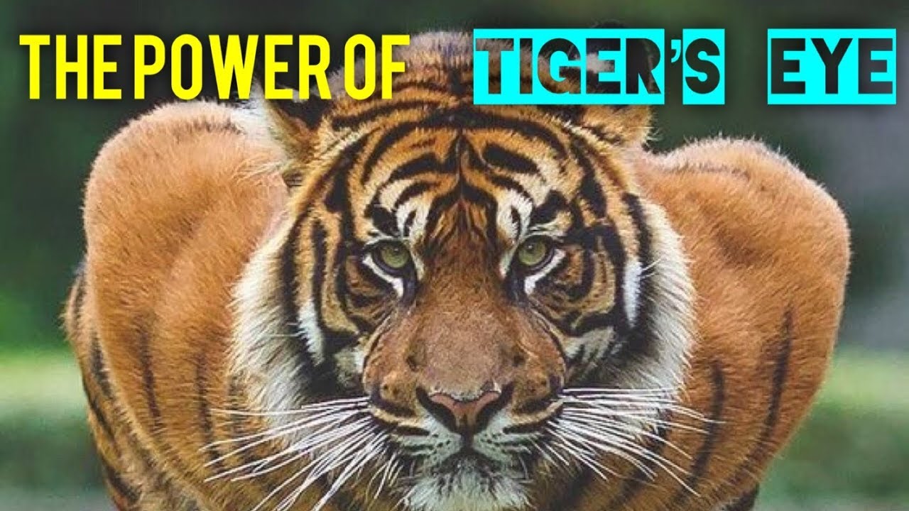 The Power of Tiger's Eye