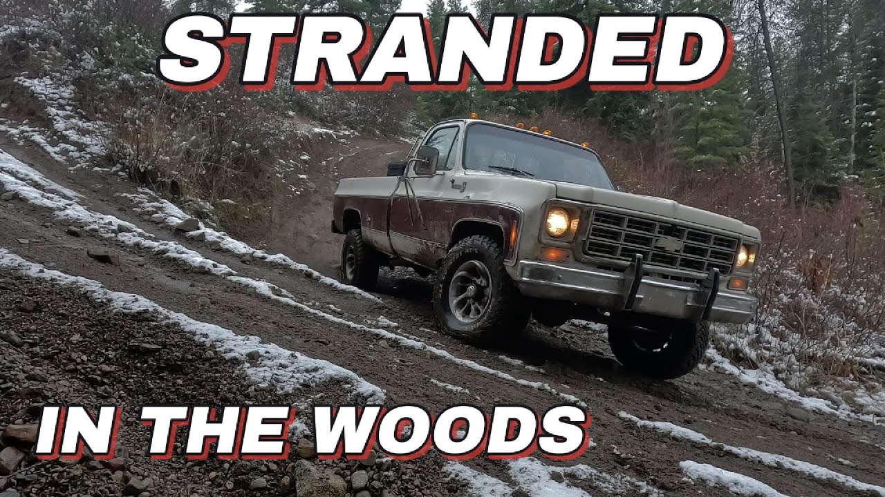 STRANDED in the WOODS!!