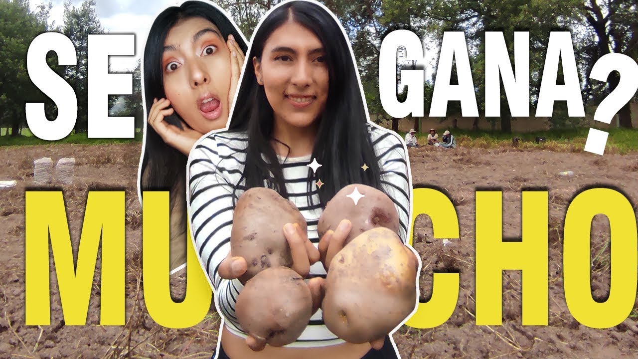 💸¿CUÁNTO se GANA con EL NEGOCIO DE LA PAPA? , ¿CÓMO FUNCIONA?  me sumergi en este emprendimiento💡
