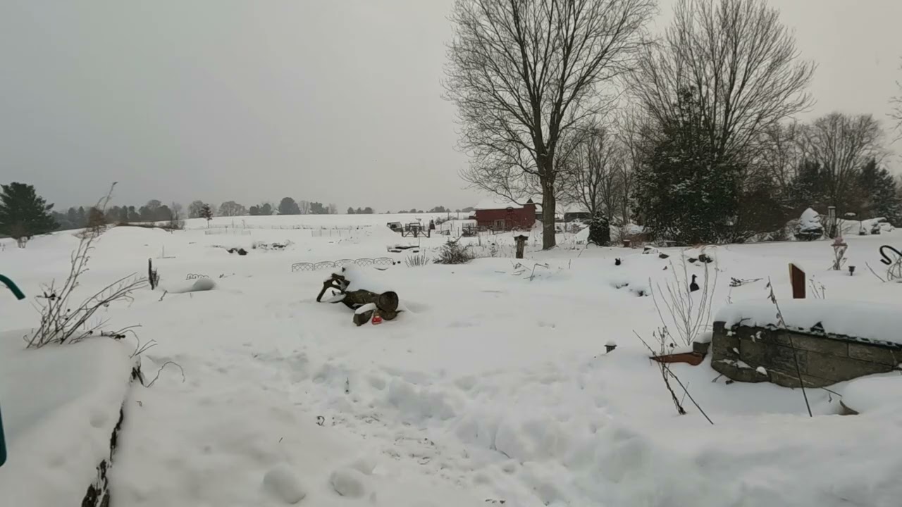 Snow Day Over The Pond _ Nature Asmr // Whitt Acres