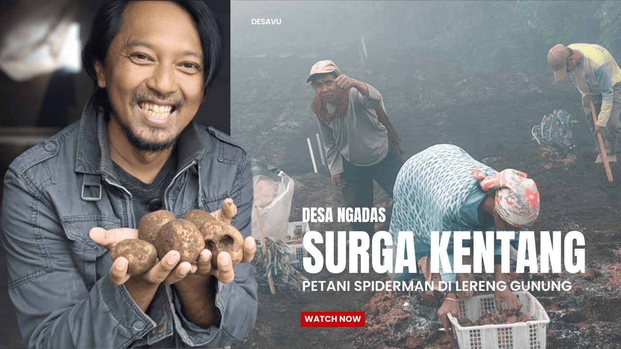 SURGA KENTANG DI DESA NGADAS - DESA TERDINGIN DI LERENG BROMO (PART 2)