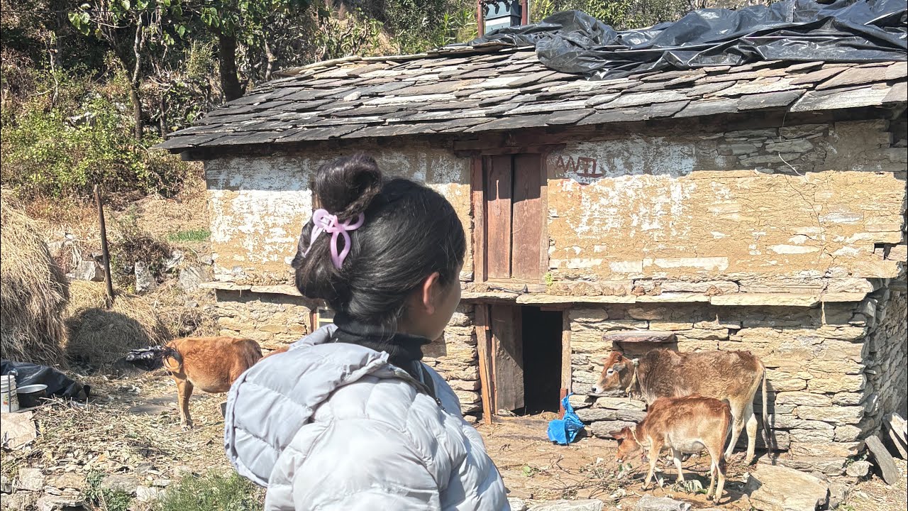 आज हम गये मुनार 🧿🫶